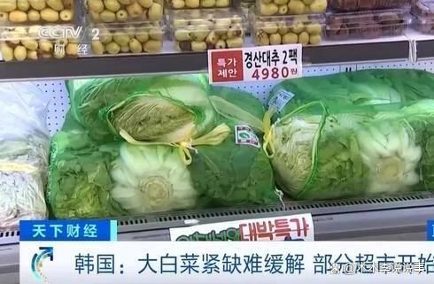 猛涨限购断货疯狂进口中国大白菜j9九游会网站入口韩国泡菜价格(图2)