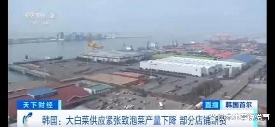 猛涨限购断货疯狂进口中国大白菜j9九游会网站入口韩国泡菜价格(图1)