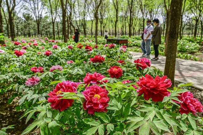 心-2：三大+书市+特色小镇打卡文旅新地标j9九游真人游戏第一平台120小时玩转副中(图3)