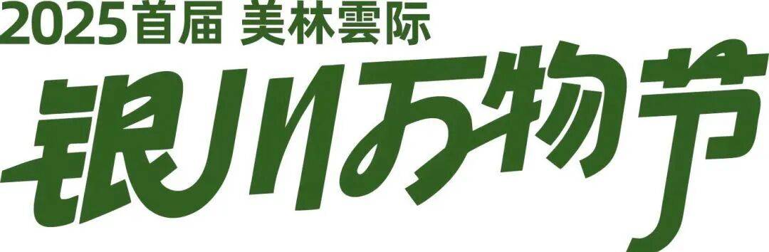 林雲际·银川万物节游玩全攻略大公开！九游