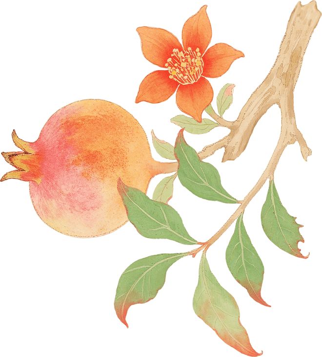 产品、新玩法露营、非遗、赏秋全都有→J9真人游戏第一品牌三明 20+新(图8)