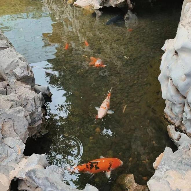 娃找到 20℃ 的「春天」九游会大风降温的北京我们带