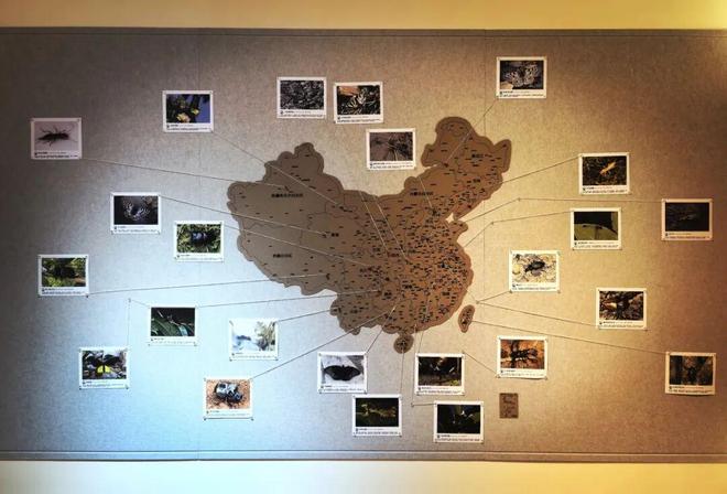 娃找到 20℃ 的「春天」九游会大风降温的北京我们带(图15)