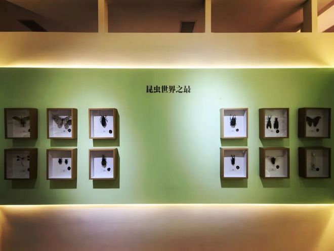 娃找到 20℃ 的「春天」九游会大风降温的北京我们带(图16)