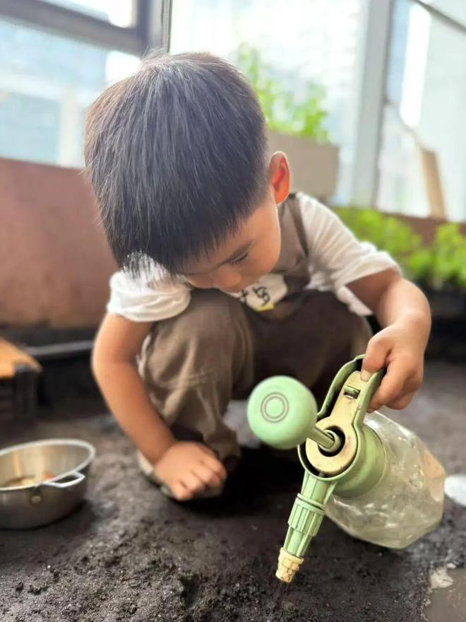 娃找到 20℃ 的「春天」九游会大风降温的北京我们带(图11)