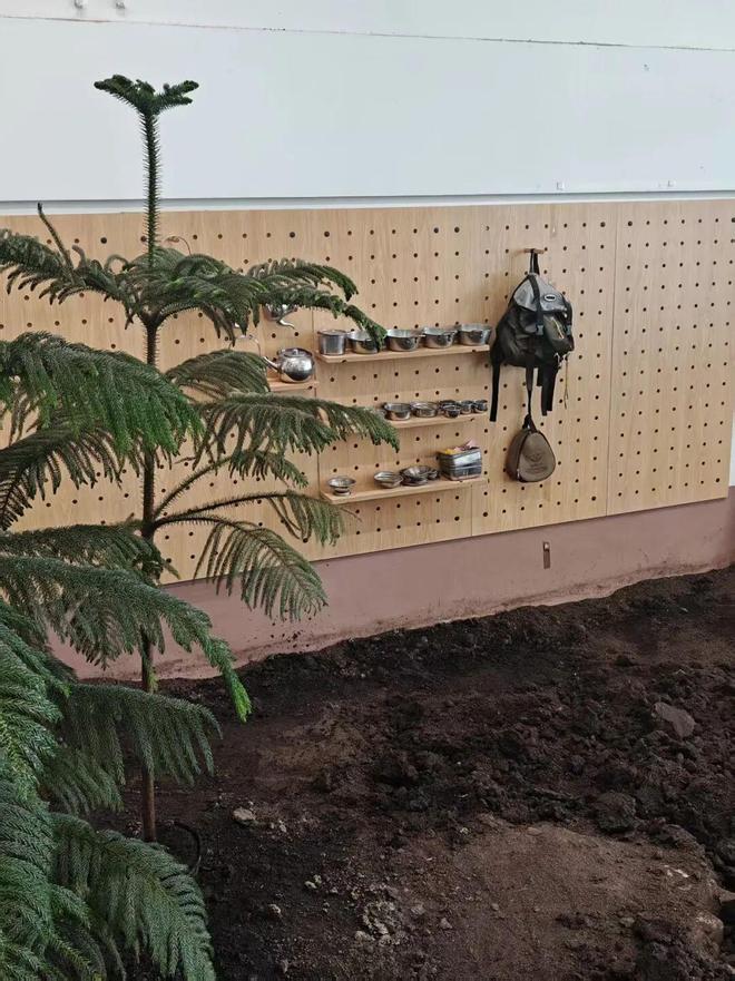 娃找到 20℃ 的「春天」九游会大风降温的北京我们带(图9)